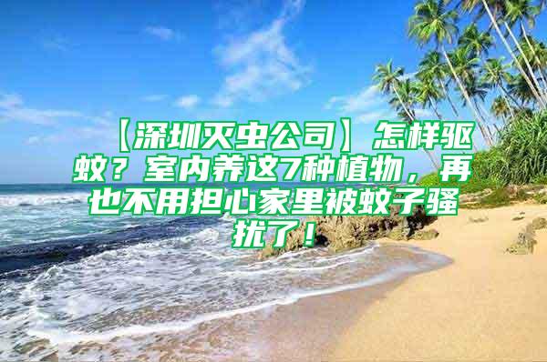 【深圳滅蟲公司】怎樣驅蚊？室內養(yǎng)這7種植物，再也不用擔心家里被蚊子騷擾了！
