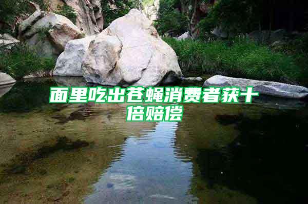 面里吃出蒼蠅消費者獲十倍賠償