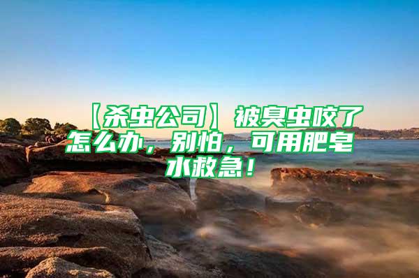 【殺蟲公司】被臭蟲咬了怎么辦，別怕，可用肥皂水救急！