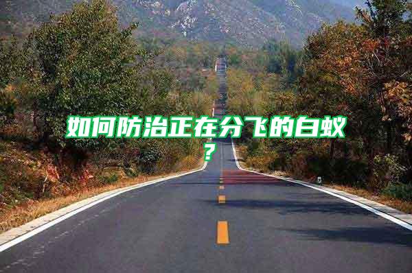 如何防治正在分飛的白蟻？