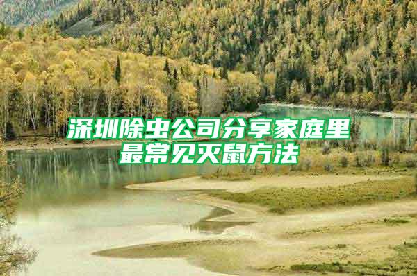 深圳除蟲(chóng)公司分享家庭里最常見(jiàn)滅鼠方法
