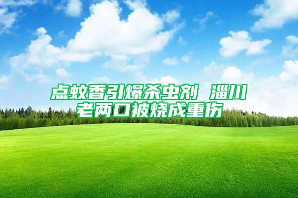 點(diǎn)蚊香引爆殺蟲劑 淄川老兩口被燒成重傷