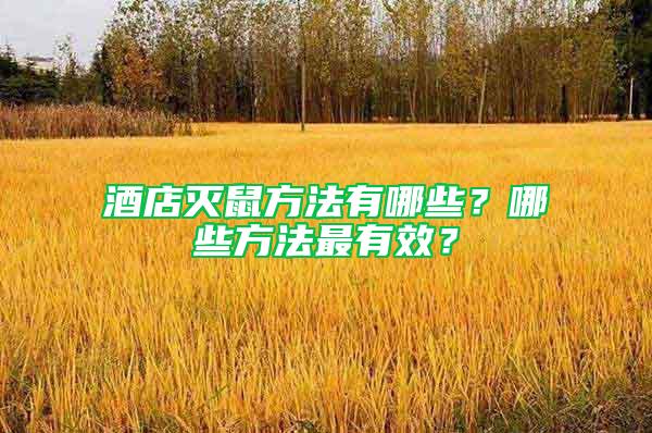 酒店滅鼠方法有哪些？哪些方法最有效？