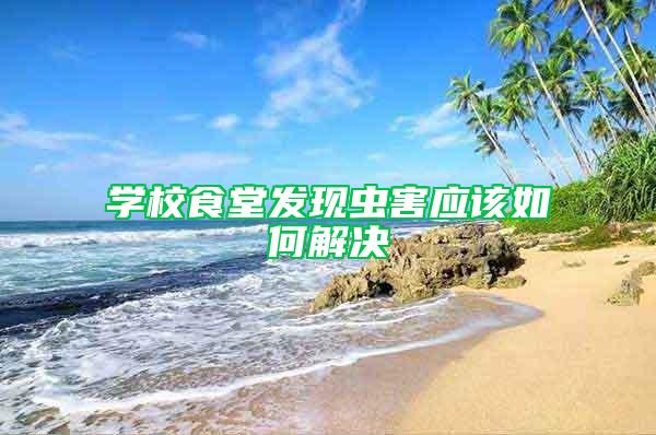 學校食堂發(fā)現(xiàn)蟲害應該如何解決