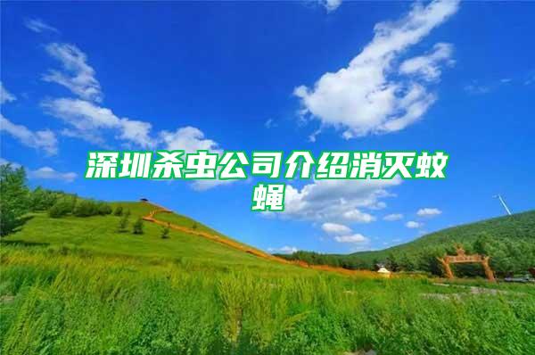 深圳殺蟲公司介紹消滅蚊蠅