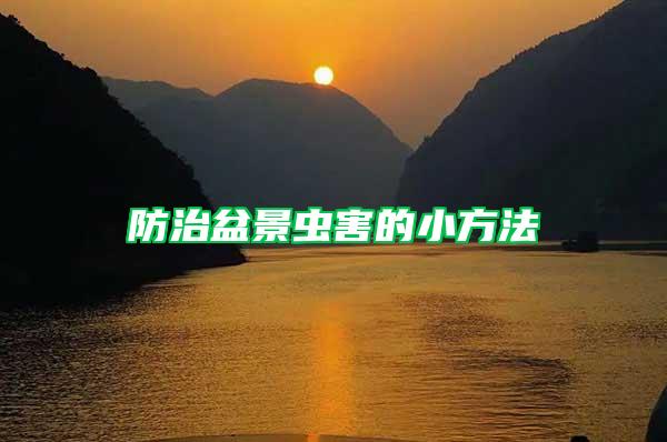 防治盆景蟲害的小方法