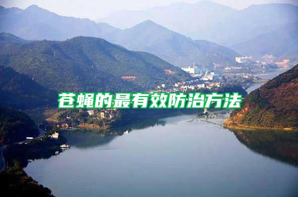 蒼蠅的最有效防治方法