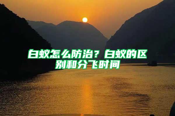白蟻怎么防治？白蟻的區(qū)別和分飛時間