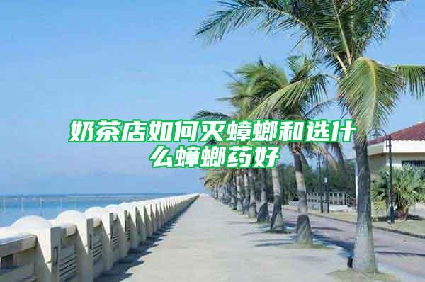 奶茶店如何滅蟑螂和選什么蟑螂藥好