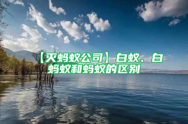 【滅螞蟻公司】白蟻、白螞蟻和螞蟻的區(qū)別