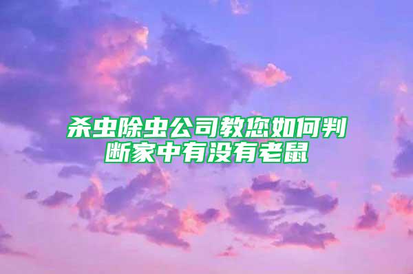 殺蟲除蟲公司教您如何判斷家中有沒有老鼠
