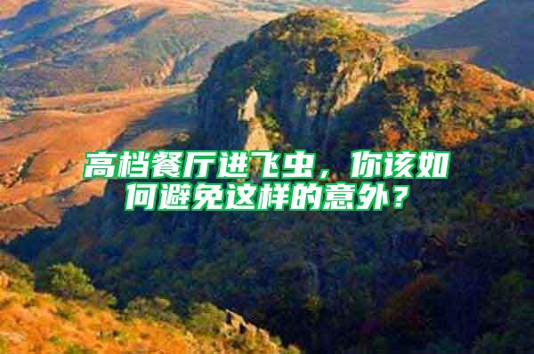 高檔餐廳進(jìn)飛蟲，你該如何避免這樣的意外？