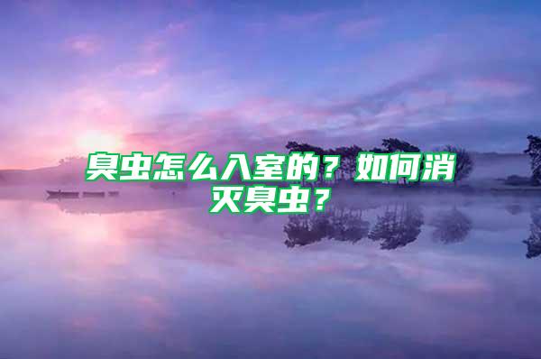 臭蟲怎么入室的？如何消滅臭蟲？