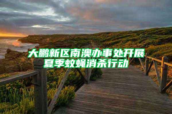 大鵬新區(qū)南澳辦事處開展夏季蚊蠅消殺行動