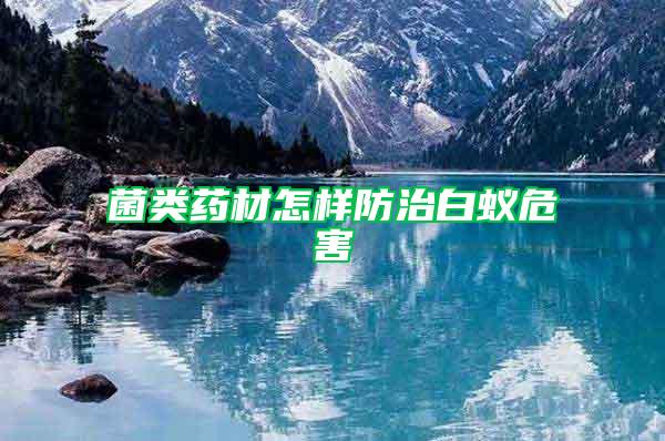 菌類藥材怎樣防治白蟻危害