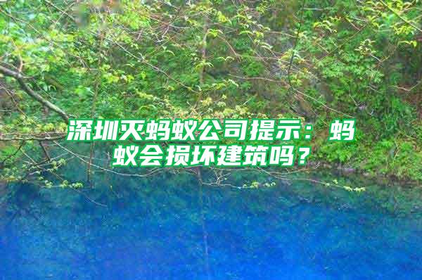深圳滅螞蟻公司提示：螞蟻會(huì)損壞建筑嗎？