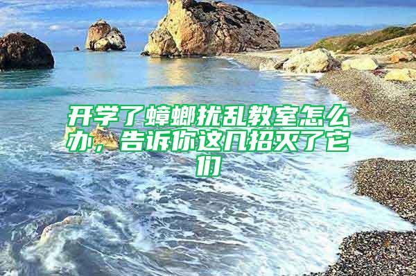 開學(xué)了蟑螂擾亂教室怎么辦，告訴你這幾招滅了它們