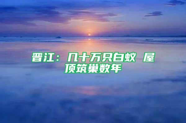晉江：幾十萬(wàn)只白蟻 屋頂筑巢數(shù)年