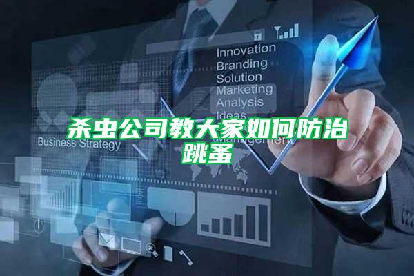 殺蟲公司教大家如何防治跳蚤