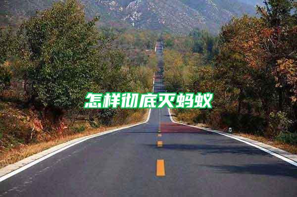 怎樣徹底滅螞蟻