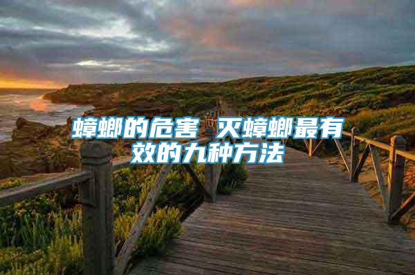蟑螂的危害 滅蟑螂最有效的九種方法