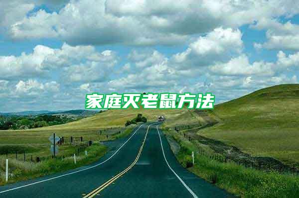 家庭滅老鼠方法