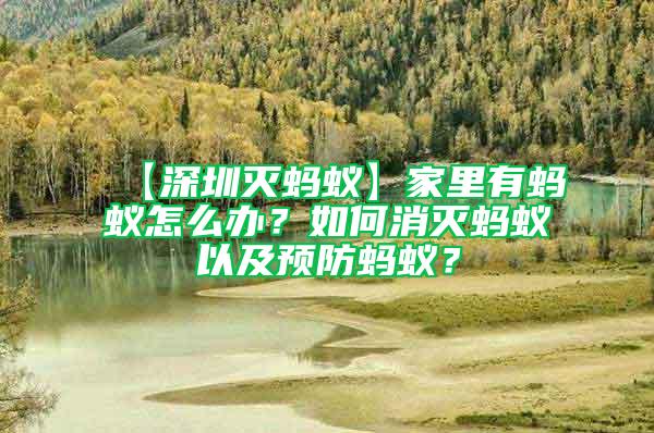 【深圳滅螞蟻】家里有螞蟻怎么辦？如何消滅螞蟻以及預(yù)防螞蟻？
