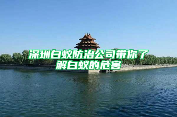 深圳白蟻防治公司帶你了解白蟻的危害