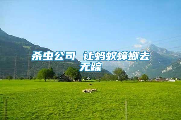殺蟲公司 讓螞蟻蟑螂去無蹤