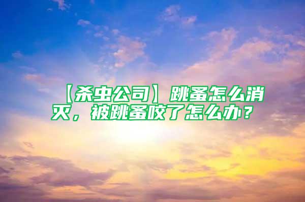 【殺蟲公司】跳蚤怎么消滅，被跳蚤咬了怎么辦？