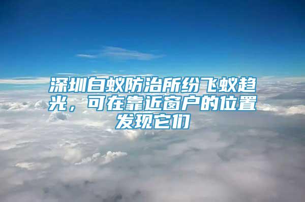 深圳白蟻防治所紛飛蟻趨光，可在靠近窗戶的位置發(fā)現(xiàn)它們