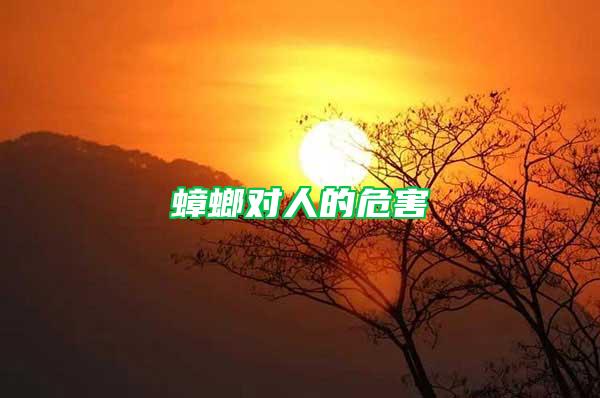 蟑螂對人的危害