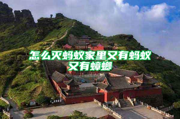 怎么滅螞蟻家里又有螞蟻又有蟑螂