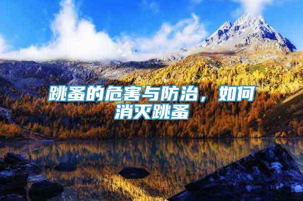 跳蚤的危害與防治，如何消滅跳蚤