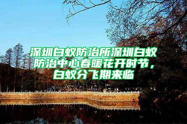 深圳白蟻防治所深圳白蟻防治中心春暖花開時節(jié)，白蟻分飛期來臨
