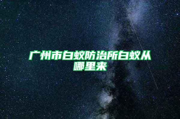 廣州市白蟻防治所白蟻從哪里來