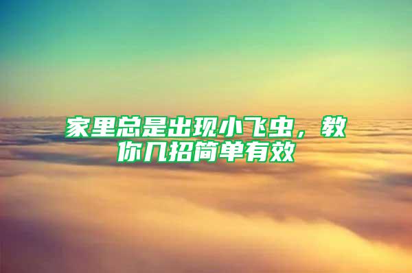 家里總是出現(xiàn)小飛蟲，教你幾招簡單有效