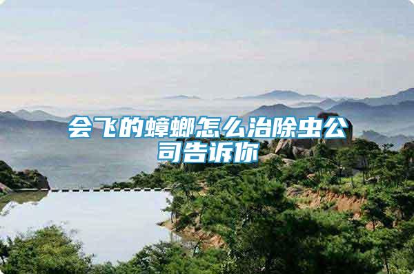 會飛的蟑螂怎么治除蟲公司告訴你