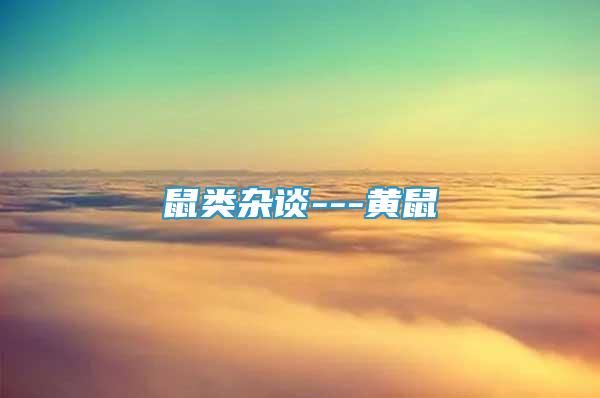 鼠類雜談---黃鼠