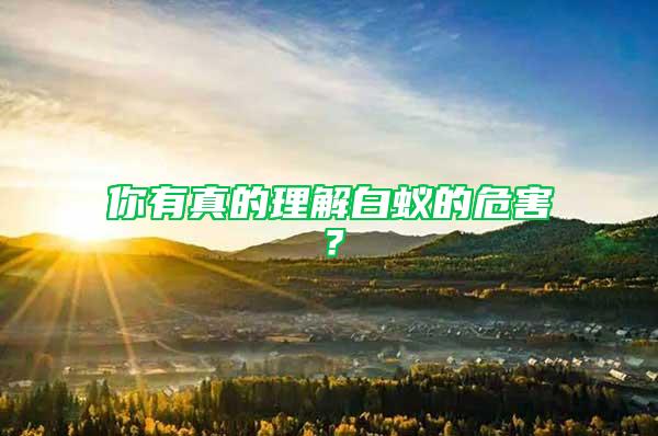 你有真的理解白蟻的危害？