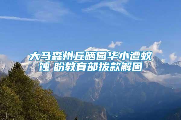 大馬森州丘曬園華小遭蟻蝕　盼教育部撥款解困