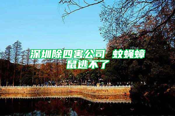深圳除四害公司 蚊蠅蟑鼠逃不了