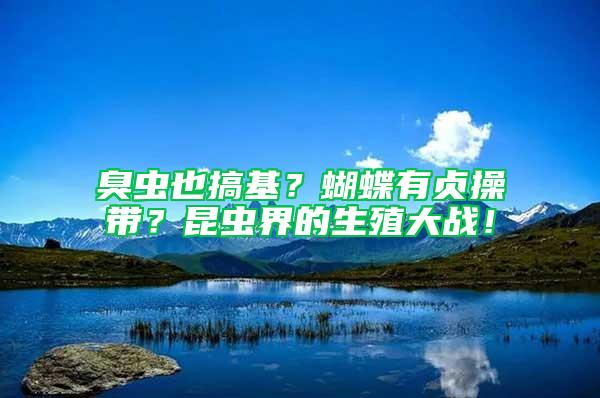 臭蟲也搞基？蝴蝶有貞操帶？昆蟲界的生殖大戰(zhàn)！