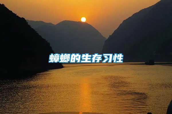 蟑螂的生存習性