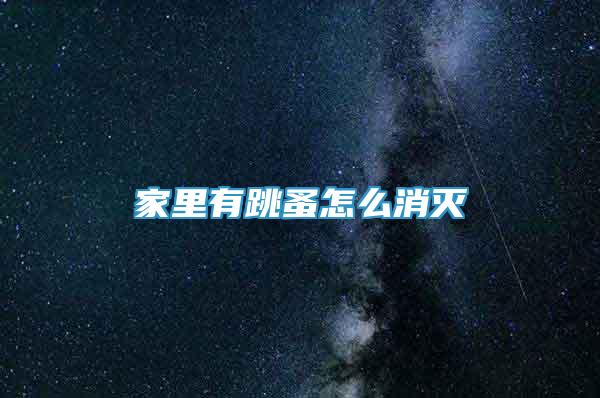 家里有跳蚤怎么消滅