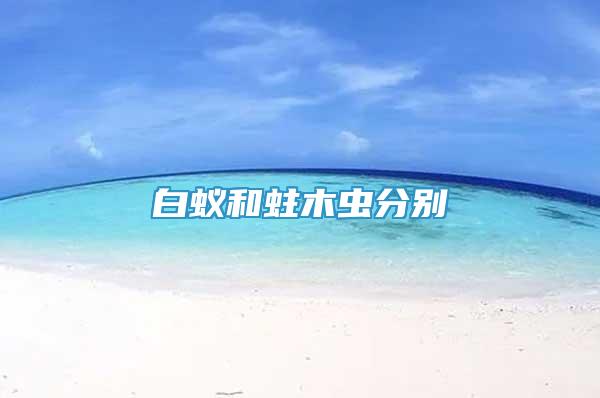 白蟻和蛀木蟲分別