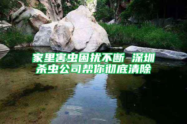 家里害蟲困擾不斷 深圳殺蟲公司幫你徹底清除