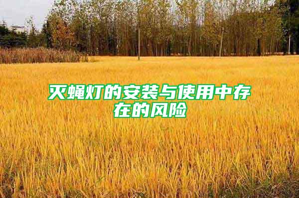 滅蠅燈的安裝與使用中存在的風險