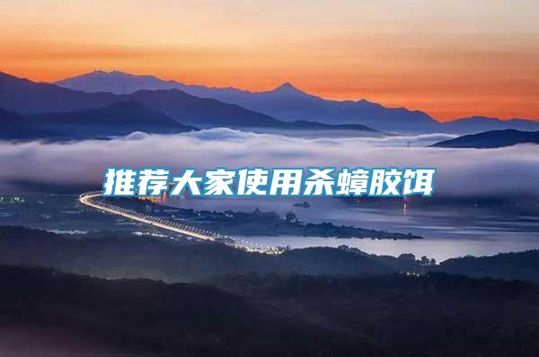 推薦大家使用殺蟑膠餌