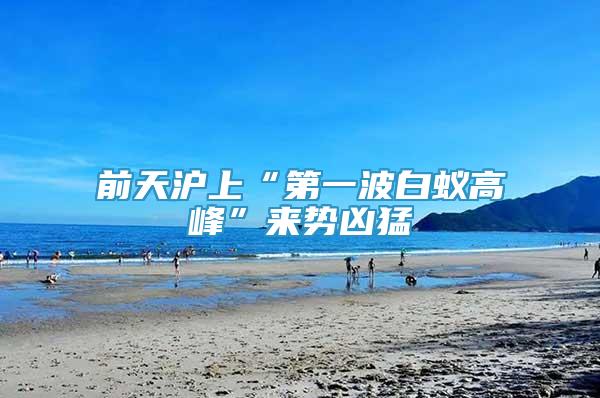 前天滬上“第一波白蟻高峰”來(lái)勢(shì)兇猛